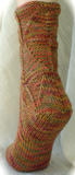 Shapely Sandal Socks - back view