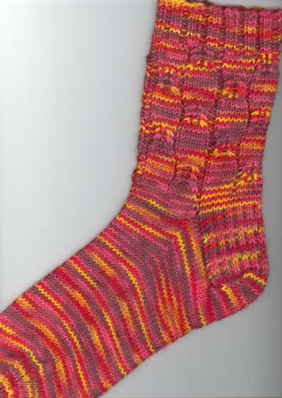 Autumnal Equinox in Lorna's Laces Shepherd Sport