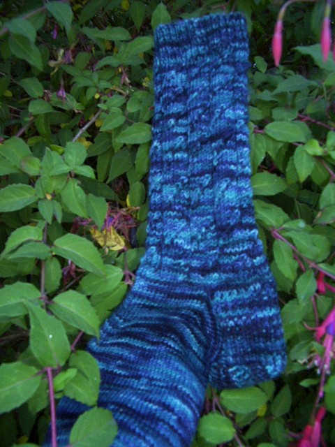 Everybody Wants Sox in Mountain Colors Clearwater