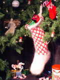Winter Solstice Santa Stocking and Mini-sock Ornament